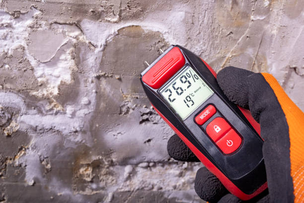 Best Mold Removal Company Near Me  in Oakley, UT