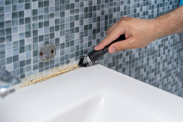 Certified Mold Removal in Oakley, UT
